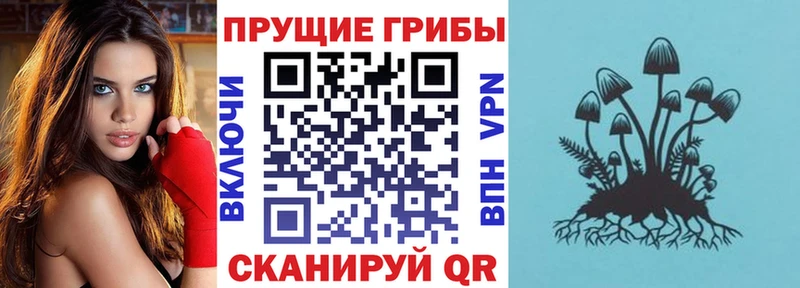 Псилоцибиновые грибы мухоморы Малгобек