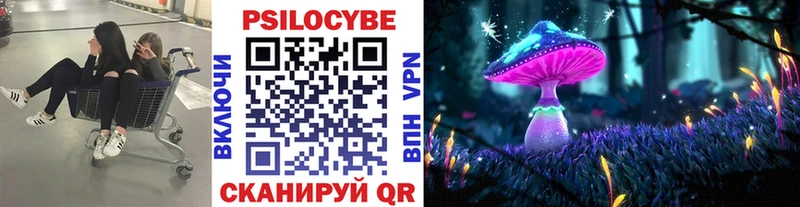Купить закладки  Малгобек  Псилоцибиновые грибы Magic Shrooms 